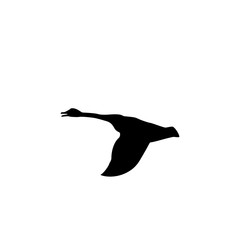 bird icon vector