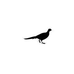 bird icon vector