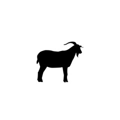 Mountain goat icon vector