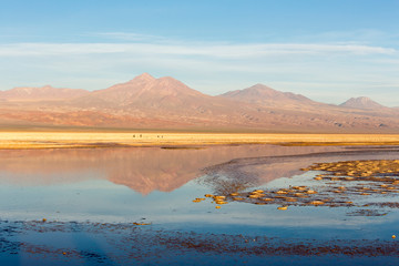 Obraz premium The chaxa lagoon at sunset