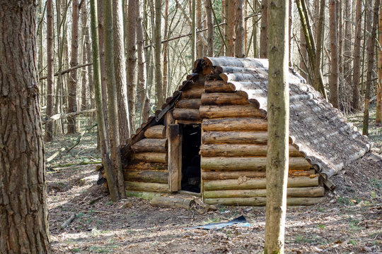 Cabin in the forest of logs. Dugout in the forest. Russia