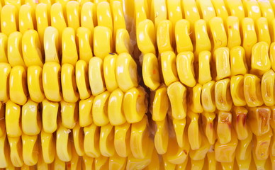 Close up Boiled corn cob 