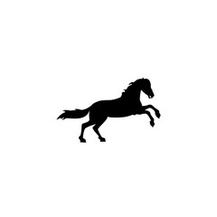 Obraz na płótnie Canvas horse icon vector