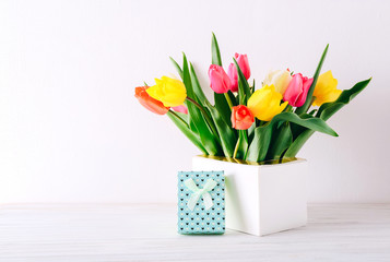 Beautiful tulips in white box and gift box on white wall background. Happy Mother's day postcard and gift concept