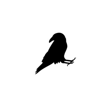 raven icon vector