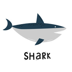 cute shark, sea ocean, cartoon lettering vector illustration