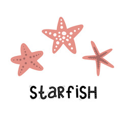 starfish and lettering set, sea ocean, vector illustration