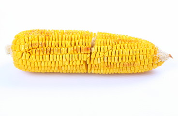 Close up Boiled corn cob on white background