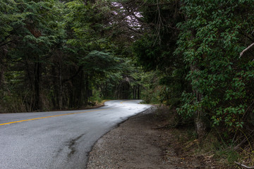 Fototapeta na wymiar Caminhos de Bariloche