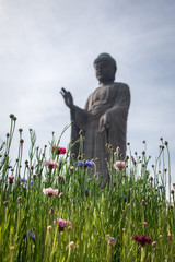 statue of a buddha in the park