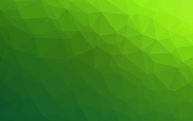 Fototapeta na wymiar Light Green vector polygonal background. A completely new color illustration in a vague style. Brand new design for your business.