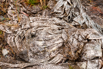 Abstract texture background of an old curtain