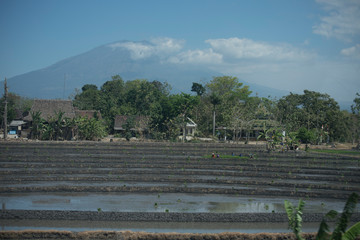 Indonesia