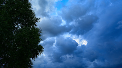 Fototapeta premium clouds in the sky