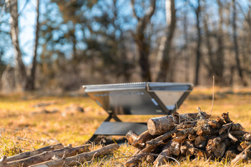 Firewood and a mobile firepit in the forest