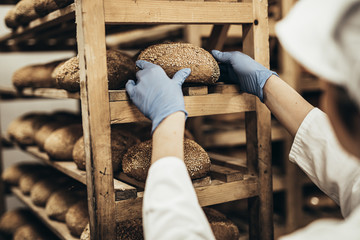 Young female worker working in bakery. She puts bread on shelf.