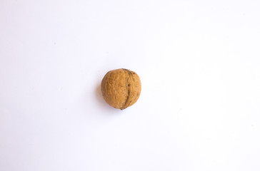 walnut on a white background