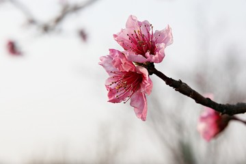 한국 경기도 부천시 호수공원 입니다