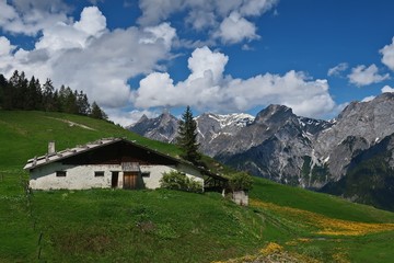 Fototapeta na wymiar alpine landscape and hut