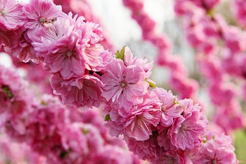한국 경기도 부천시 호수공원 입니다
