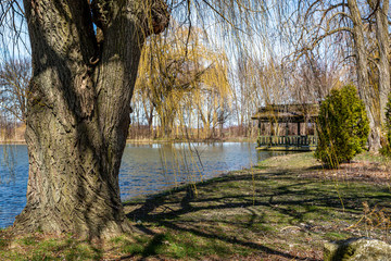 Shelter by the Pond