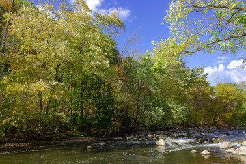 Fototapeta na wymiar A shallow creek on an autumn day