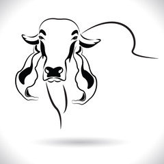 Vector of picture cow head design ,logo design,Farm Animals,Black and white picture,Line animal,on the white background.