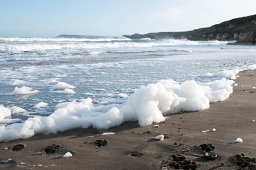 Sea foam washed up on the beach