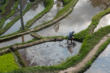 Indonesia