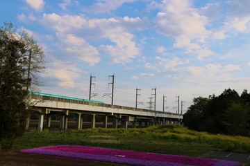 Obraz premium 高架橋 新幹線 田舎 風景 杤木