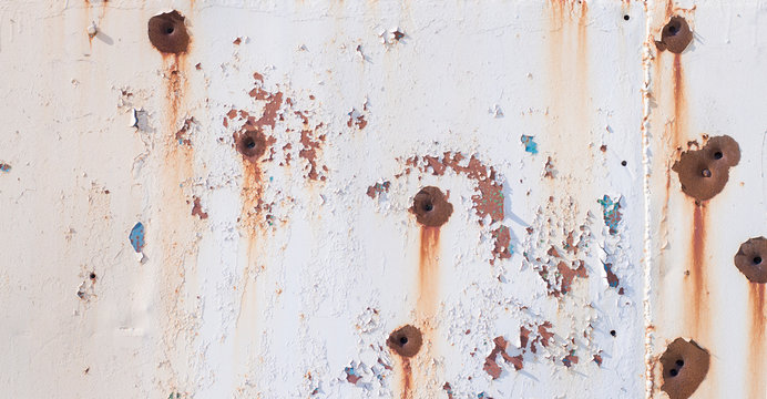 รูปภาพBuckshot – เลือกดูภาพถ่ายสต็อก เวกเตอร์ และวิดีโอ2,065 | Adobe Stock