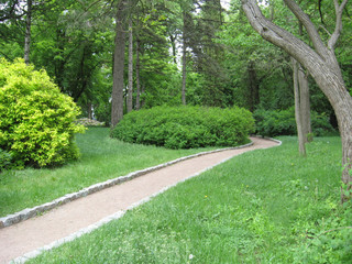 Summer park with pathway between green trees
