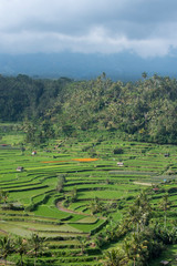 Indonesia