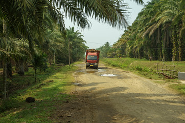 Red truck loaded with sawit palms riding gravel road seen in palm oil plantation in Bengkulu, Sumatra, Indonesia