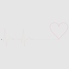 Heart with cardiology lifeline. Vector