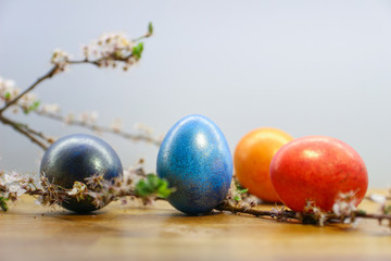 colorful easter eggs