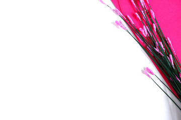 Beautiful flowers on a pink and white background. Suitable for advertising background. Mockup