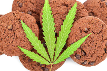 Cooking Cannabis CBD Cannabidiol with Hemp Herb. Cookies with cannabis leaf macro. Medical marijuana for use in food. Medicinal Edibles. Full Legalization in Uruguay and Canada