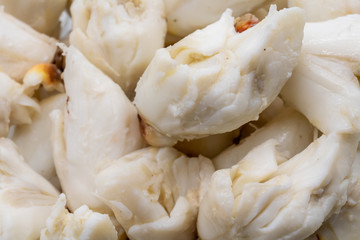Closed up premium jumbo lump of fresh blue crab meat isolated on white background.