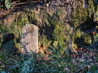 等々力不動尊 等々力渓谷