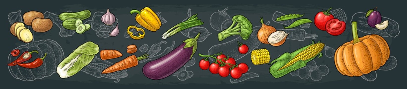 Set vegetables. Vector black vintage engraving illustration