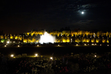 Fototapeta premium Spectacle des Grandes Eaux au Chateau de Versailles