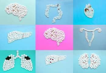 Set of icons with brain, heart, liver, uterus, intestine. lungs made. Top view. Medical concept.