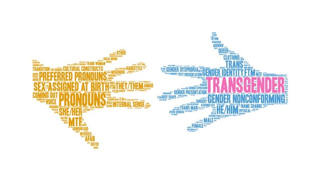 Transgender animated word cloud on a white background. 