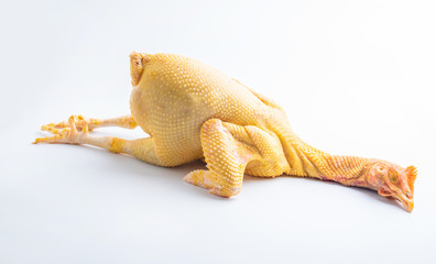 A fresh fat chicken on white background