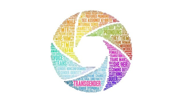 Transgender animated word cloud on a white background. 