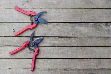 garden tools on wood