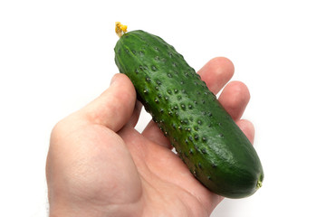 green bright cucumber in hand isolate white