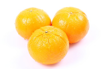 Orange fruit on white background