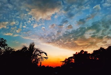 Naklejka premium sunset with palm trees